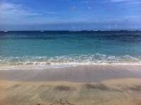 Beach, Nevis © Meghan E. Patterson